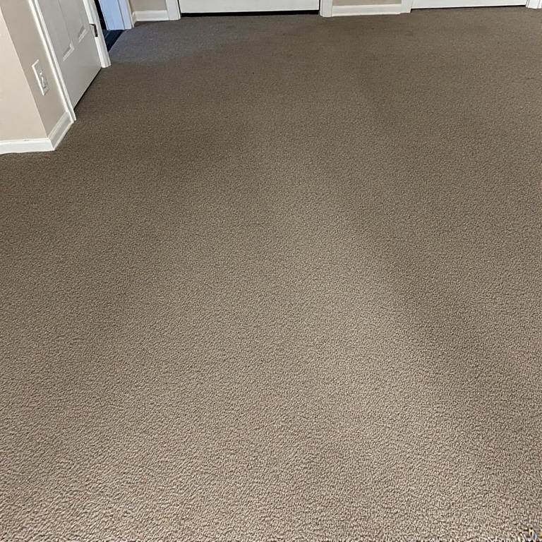 Carpet Cleaning square